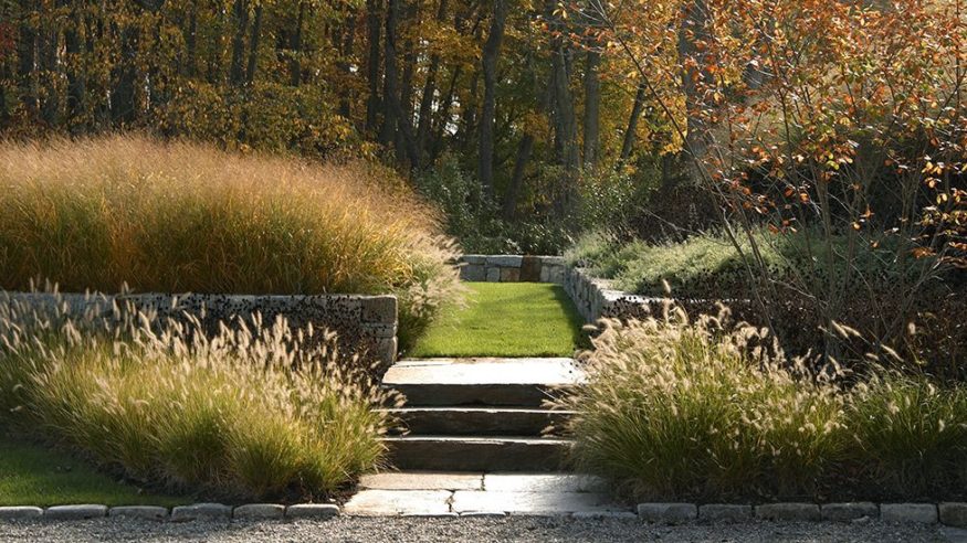 outdoor steps and grass